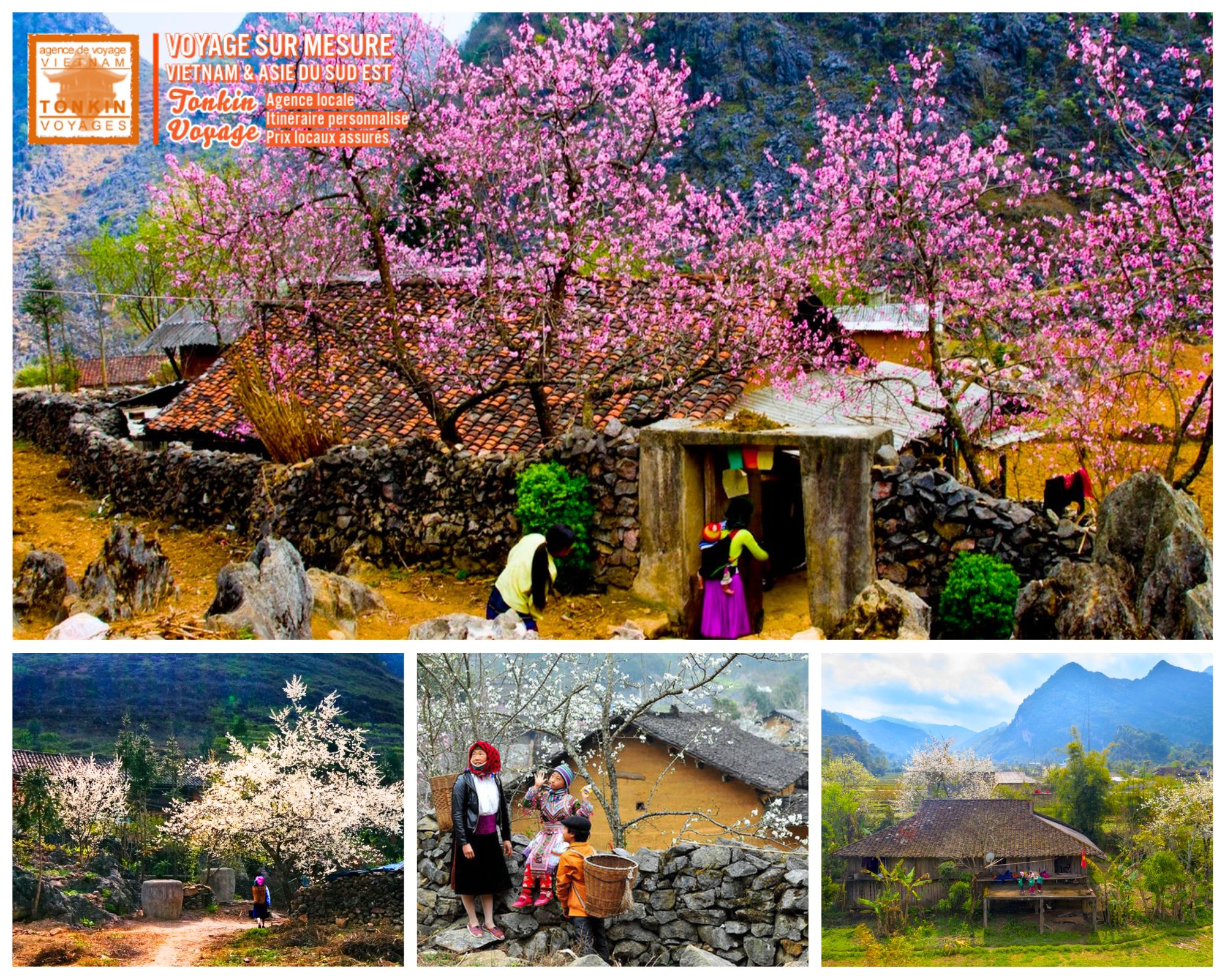 Les autres plus belles floraisons pour enrichir un voyage au Vietnam